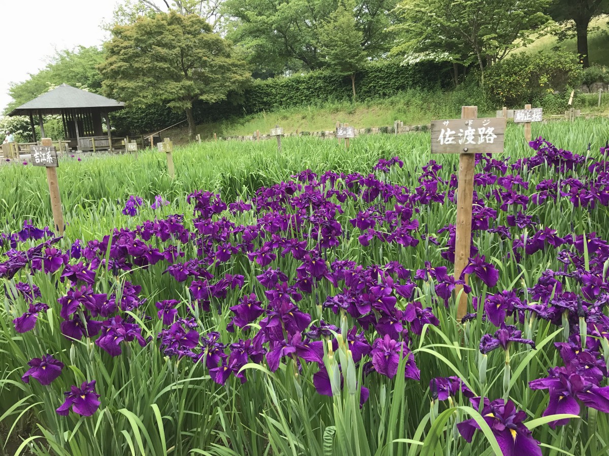 休暇村グループの公共の宿 保養センター美榛苑