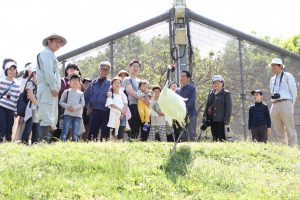休暇村グループ 公共の宿 国民宿舎サンロード吉備路 タンチョウ観察会