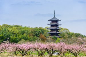 休暇村グループ 公共の宿 国民宿舎サンロード吉備路 備中国分寺