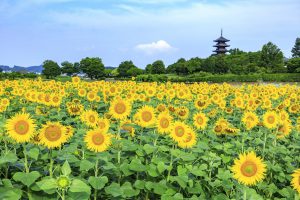 休暇村グループ 公共の宿 国民宿舎サンロード吉備路 備中国分寺