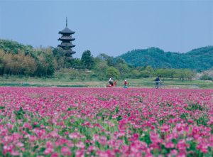 休暇村グループ 公共の宿 国民宿舎サンロード吉備路 備中国分寺