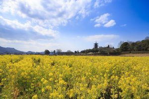 休暇村グループ 公共の宿 国民宿舎サンロード吉備路 備中国分寺