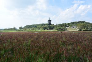 休暇村グループ 公共の宿休暇村グループ 公共の宿 国民宿舎サンロード吉備路