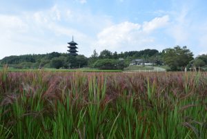 休暇村グループ 公共の宿休暇村グループ 公共の宿 国民宿舎サンロード吉備路