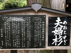 休暇村グループの公共の宿 国民宿舎両神荘 夫婦杉2