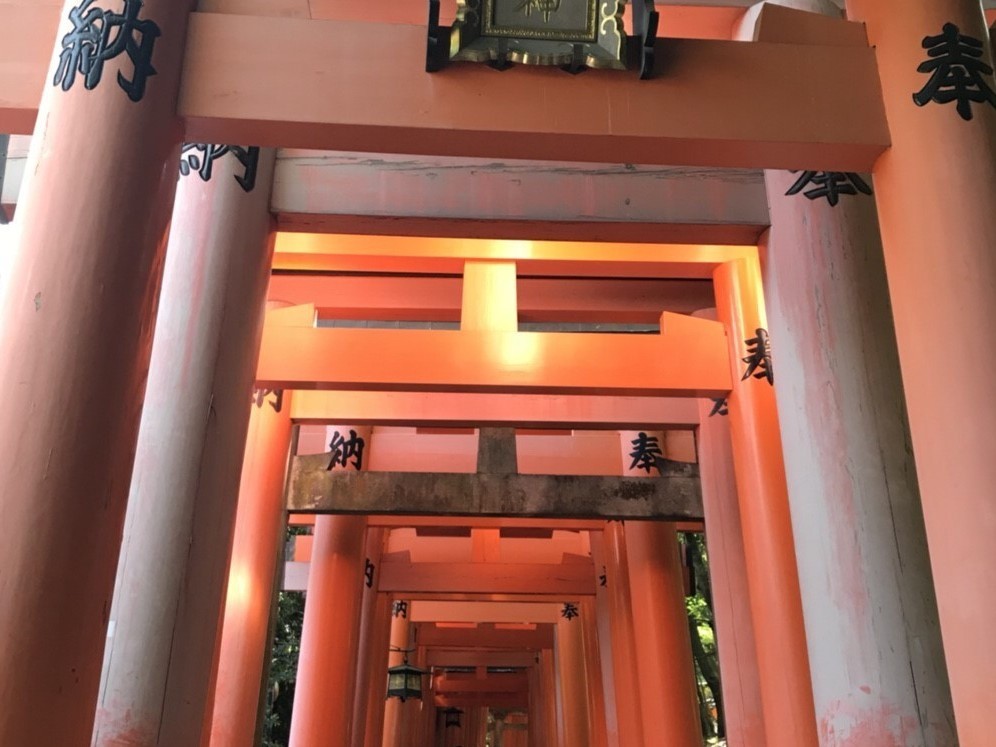 休暇村グループの公共の宿