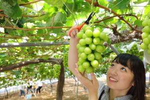 休暇村グループ 公共の宿 国民宿舎サンロード吉備路