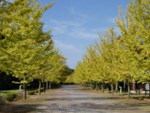 休暇村グループの公共の宿 国民宿舎両神荘 秩父ミューズパーク