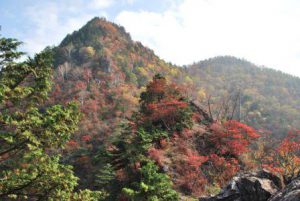 休暇村グループの公共の宿 国民宿舎両神荘 両神山の紅葉