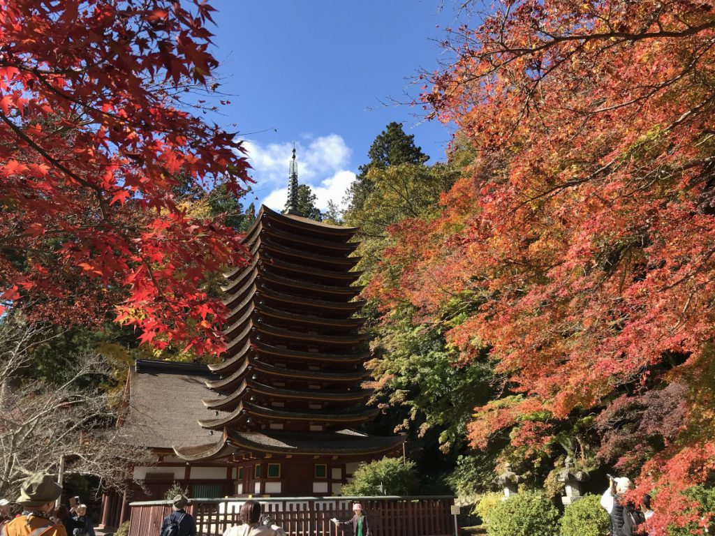 休暇村グループの公共の宿 保養センター美榛苑