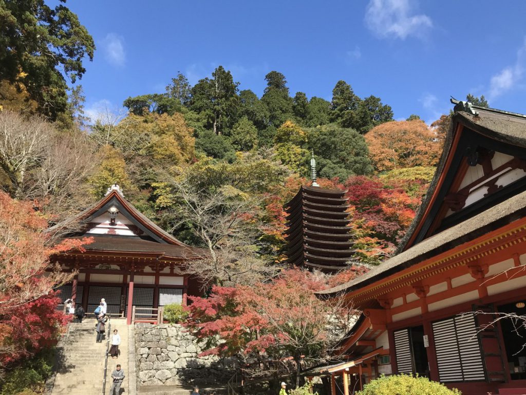 休暇村グループの公共の宿 保養センター美榛苑