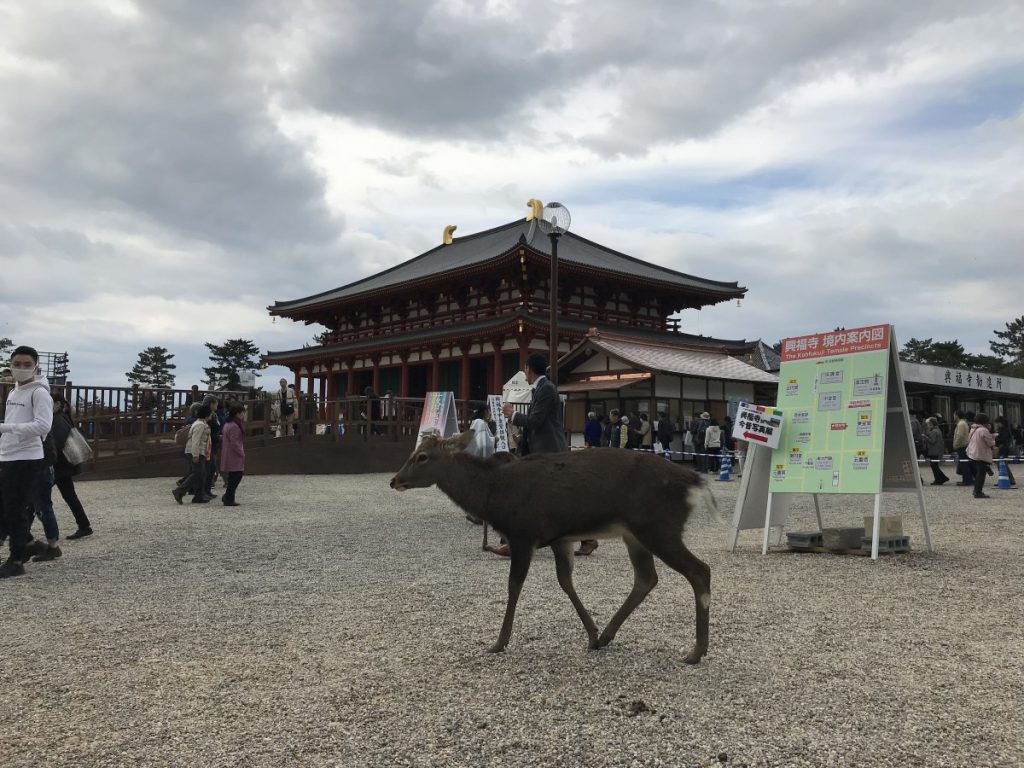休暇村グループの公共の宿 保養センター美榛苑