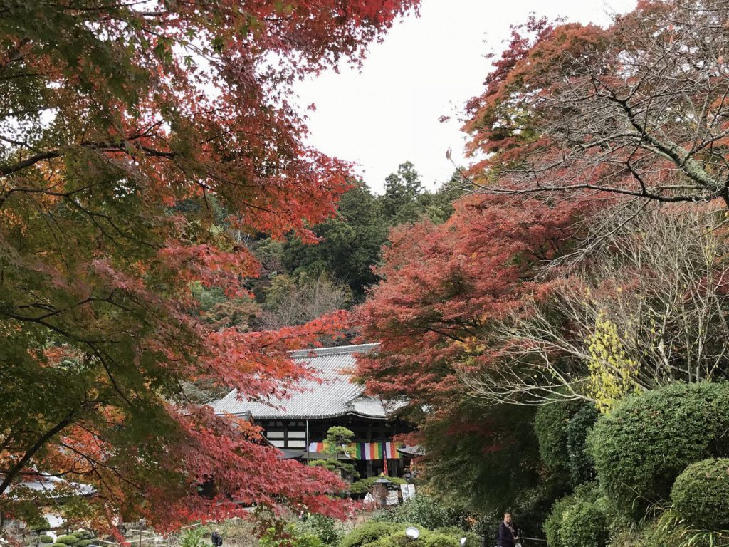 休暇村グループの公共の宿 保養センター美榛苑