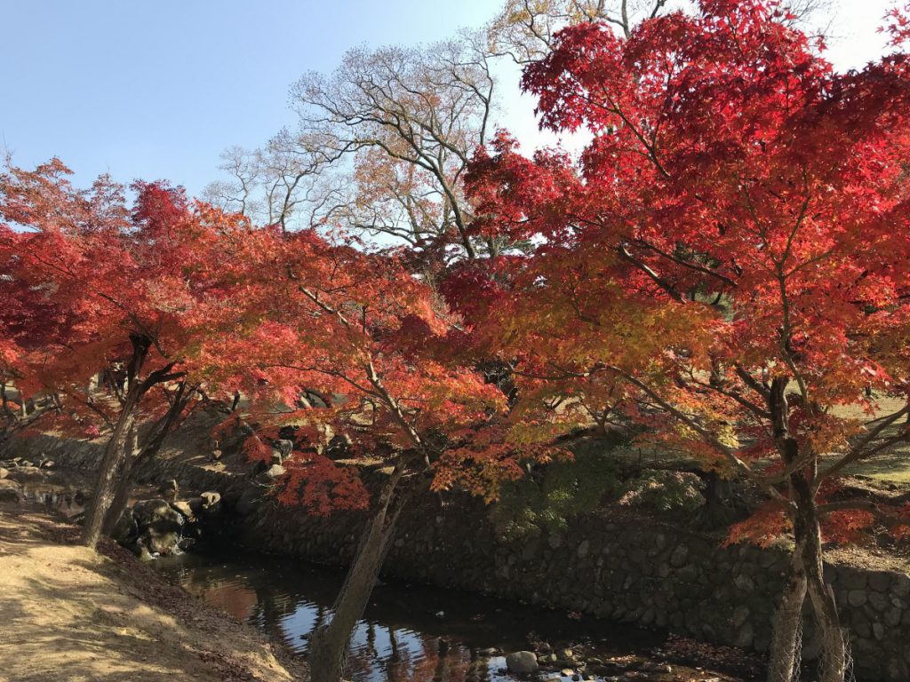 休暇村グループの公共の宿 保養センター美榛苑