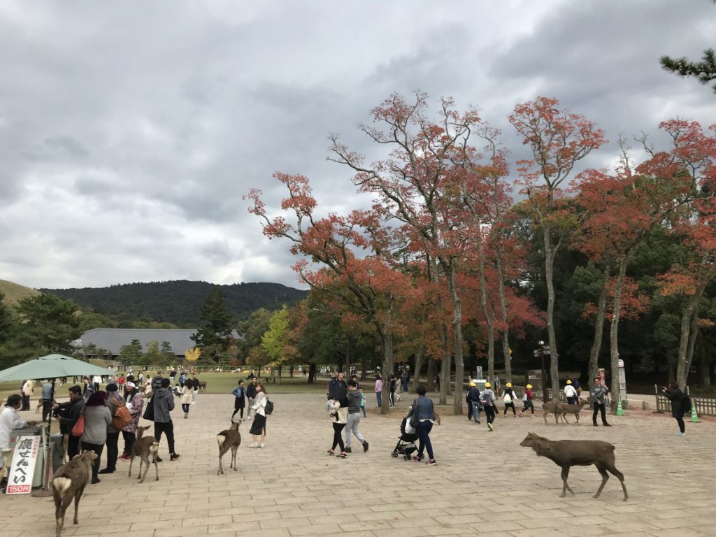 休暇村グループの公共の宿 保養センター美榛苑