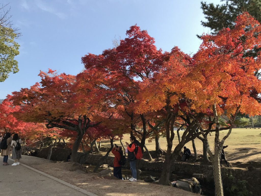休暇村グループの公共の宿 保養センター美榛苑