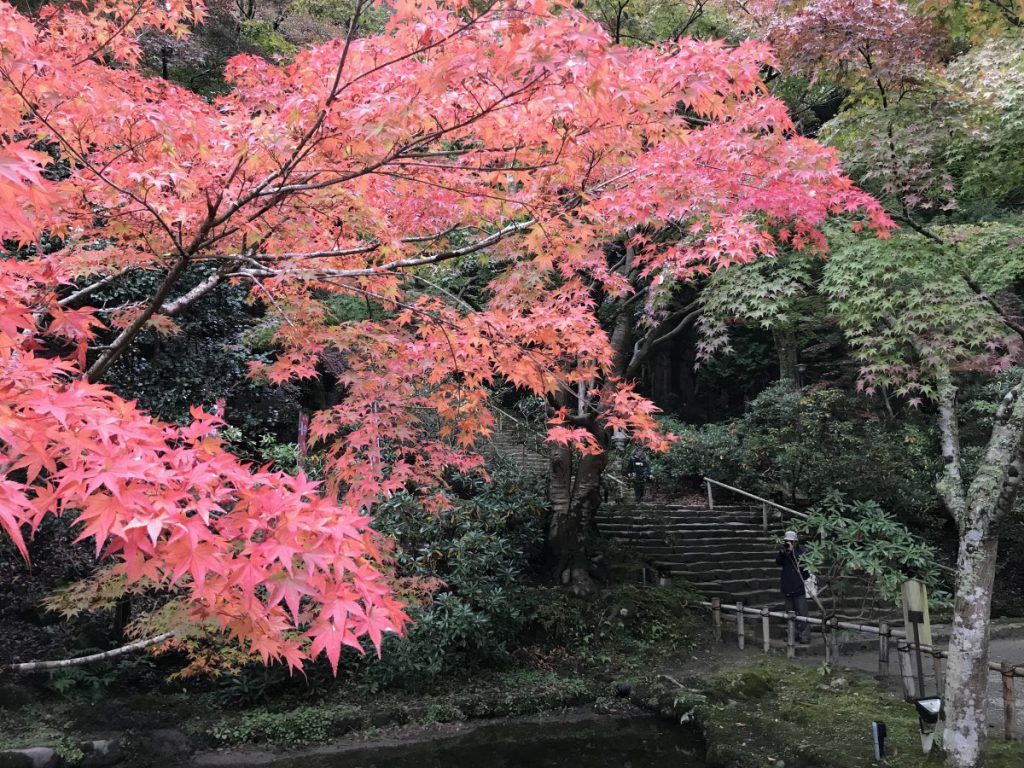 休暇村グループの公共の宿 保養センター美榛苑
