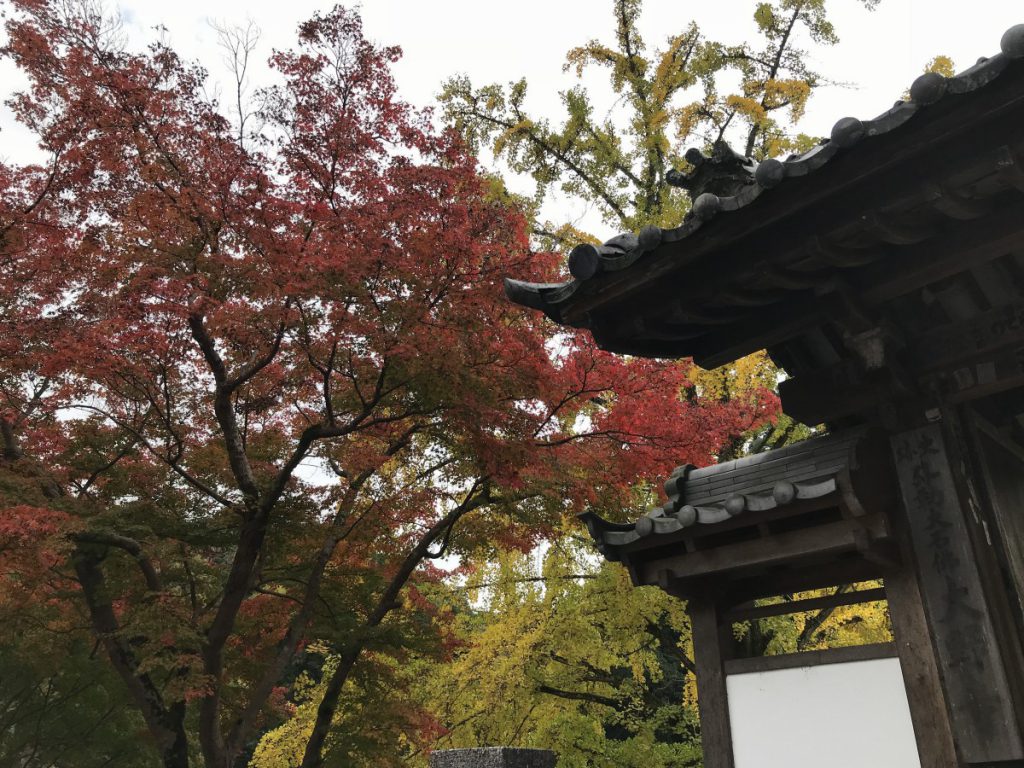 休暇村グループの公共の宿 保養センター美榛苑