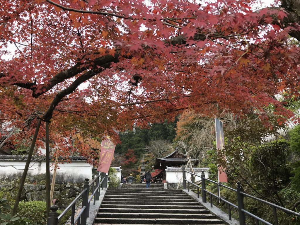 休暇村グループの公共の宿 保養センター美榛苑