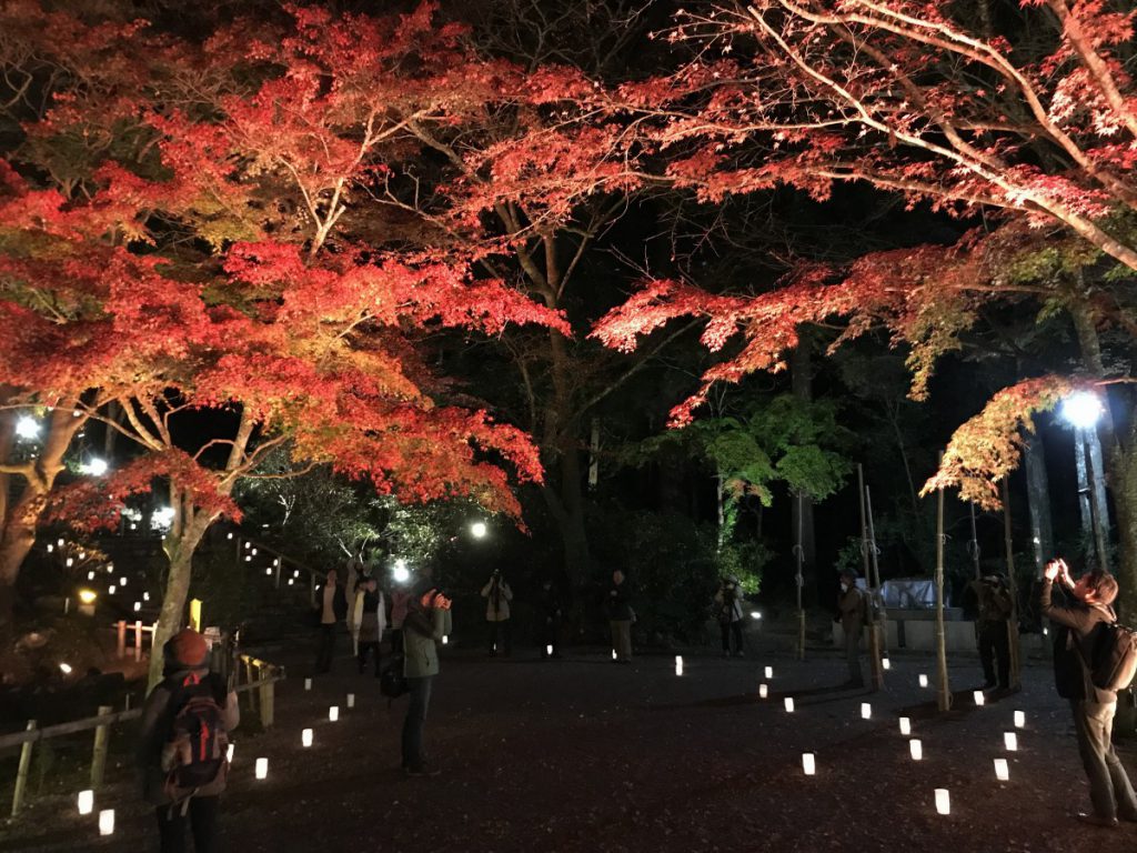 休暇村グループの公共の宿 保養センター美榛苑