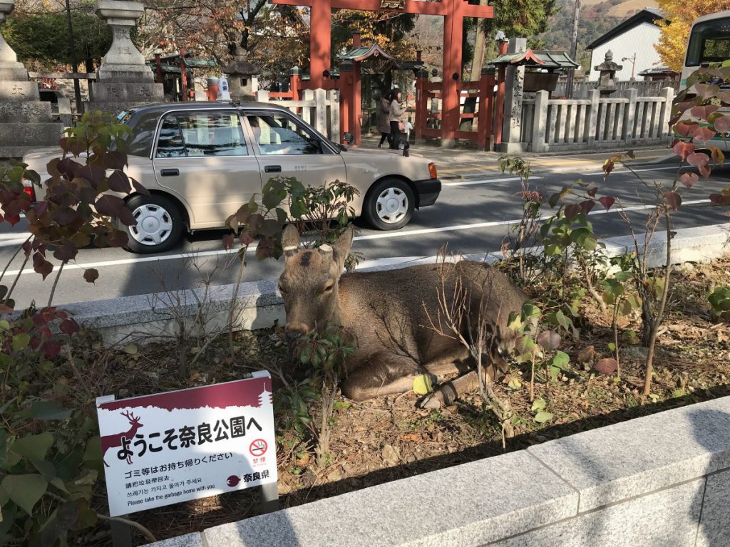休暇村グループの公共の宿 保養センター美榛苑