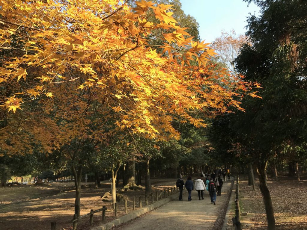 休暇村グループの公共の宿 保養センター美榛苑