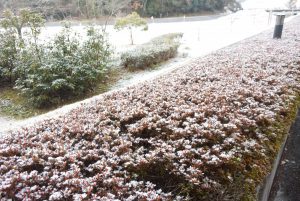 休暇村グループ 公共の宿 国民宿舎サンロード吉備路