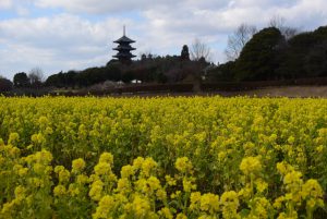 休暇村グループ 公共の宿 国民宿舎サンロード吉備路