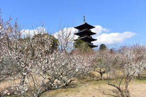 休暇村グループ 公共の宿 国民宿舎サンロード吉備路