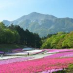 休暇村グループの公共の宿　国民宿舎両神荘　羊山公園（芝桜）