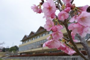 休暇村グループの公共の宿 国民宿舎サンロード吉備路