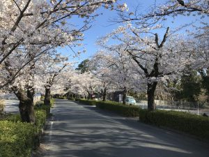 休暇村グループの公共の宿 国民宿舎両神荘 北桜通り