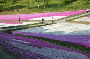 休暇村グループの公共の宿 国民宿舎両神荘 羊山公園7