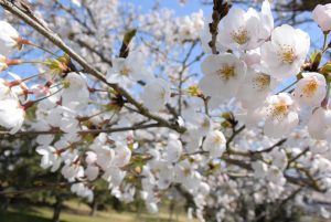 休暇村グループの公共の宿 国民宿舎サンロード吉備路