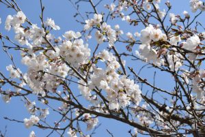 休暇村グループの公共の宿 国民宿舎サンロード吉備路