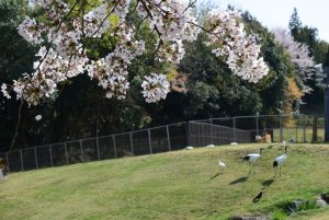 休暇村グループの公共の宿 国民宿舎サンロード吉備路