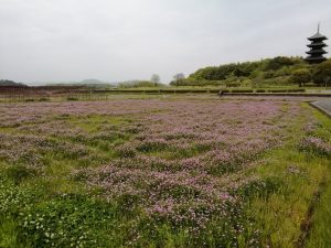 休暇村グループの公共の宿 国民宿舎サンロード吉備路