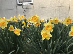 休暇村グループの公共の宿 国民宿舎両神荘 スイセン