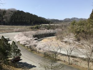 休暇村グループの公共の宿 国民宿舎両神荘 桜2