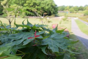 休暇村グループの公共の宿 国民宿舎サンロード吉備路