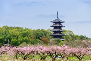 休暇村グループの公共の宿 国民宿舎サンロード吉備路