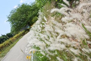 休暇村グループの公共の宿 国民宿舎サンロード吉備路