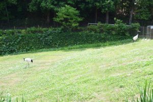 休暇村グループの公共の宿 国民宿舎サンロード吉備路