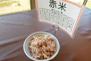 休暇村グループの公共の宿 国民宿舎サンロード吉備路