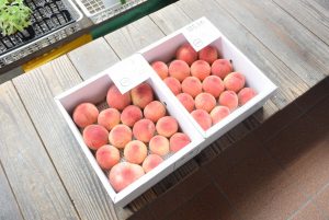 休暇村グループの公共の宿 国民宿舎サンロード吉備路