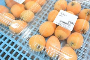 休暇村グループの公共の宿 国民宿舎サンロード吉備路