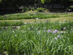 休暇村グループの公共の宿 国民宿舎両神荘 花しょうぶ