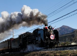 休暇村グループの公共の宿 国民宿舎両神荘 パレオエクスプレス