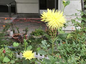 休暇村グループの公共の宿 国民宿舎両神荘 ダリア