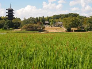 休暇村グループの公共の宿 国民宿舎サンロード吉備路
